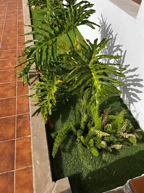 Jardinera terminada con césped artificial y plantas tropicales en Carrizal
