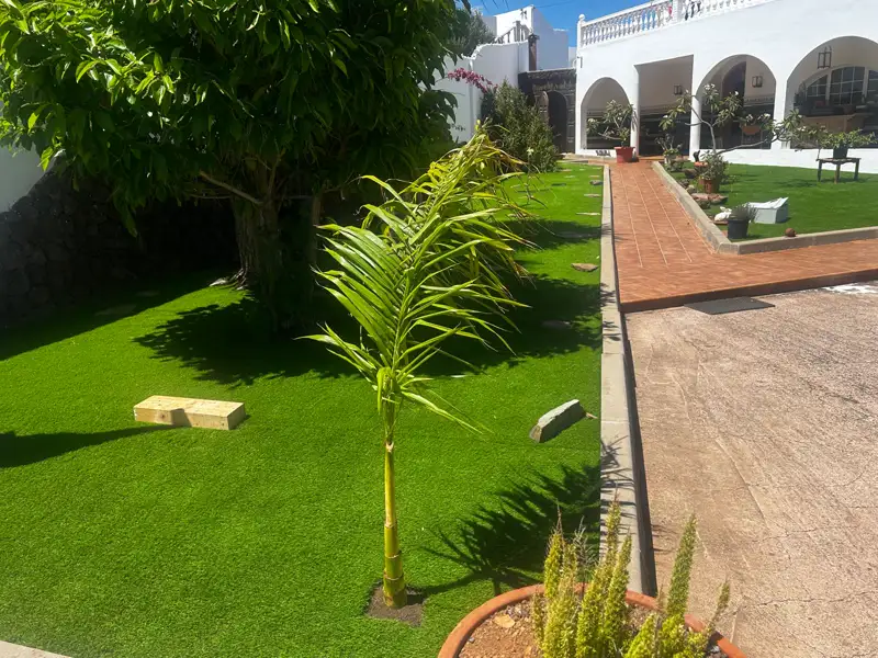 Jardín de césped artificial con palmera y camino de baldosa en Carrizal, Gran Canaria