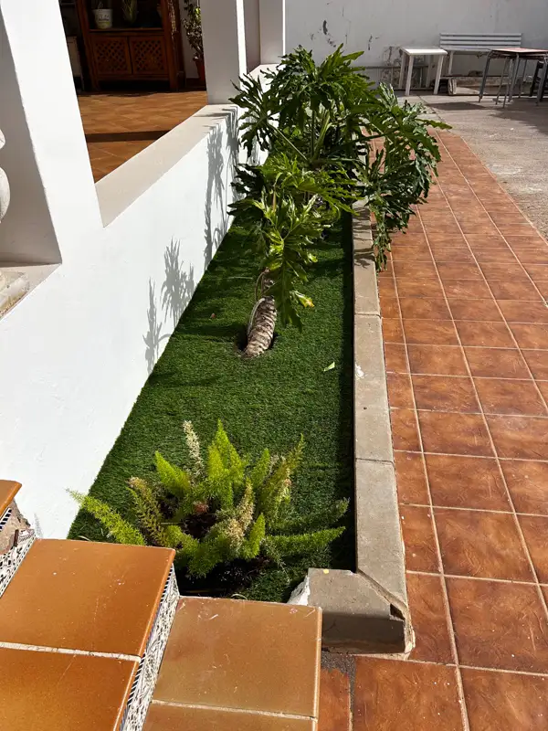 Jardinera estrecha con césped artificial y plantas en una casa de Carrizal