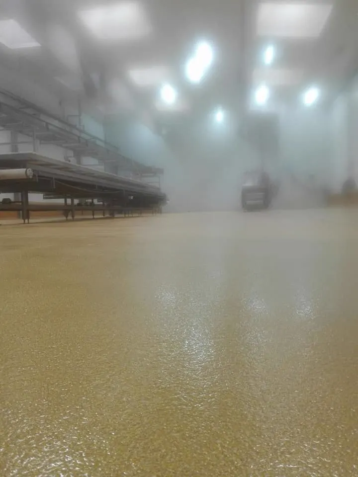 Suelo de resina epoxi en una planta de industria alimentaria en Gran Canaria